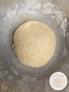 Impasto Pan Brioche allo yogurt